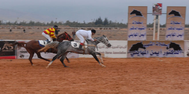 الجواد العربي الأصيل حاضر ببيئته التراثية في معرض دمشق الدولي