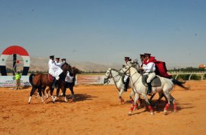 مشاركة متميزة ومنافسات قوية في مهرجان الجواد العربي الأصيل الرابع